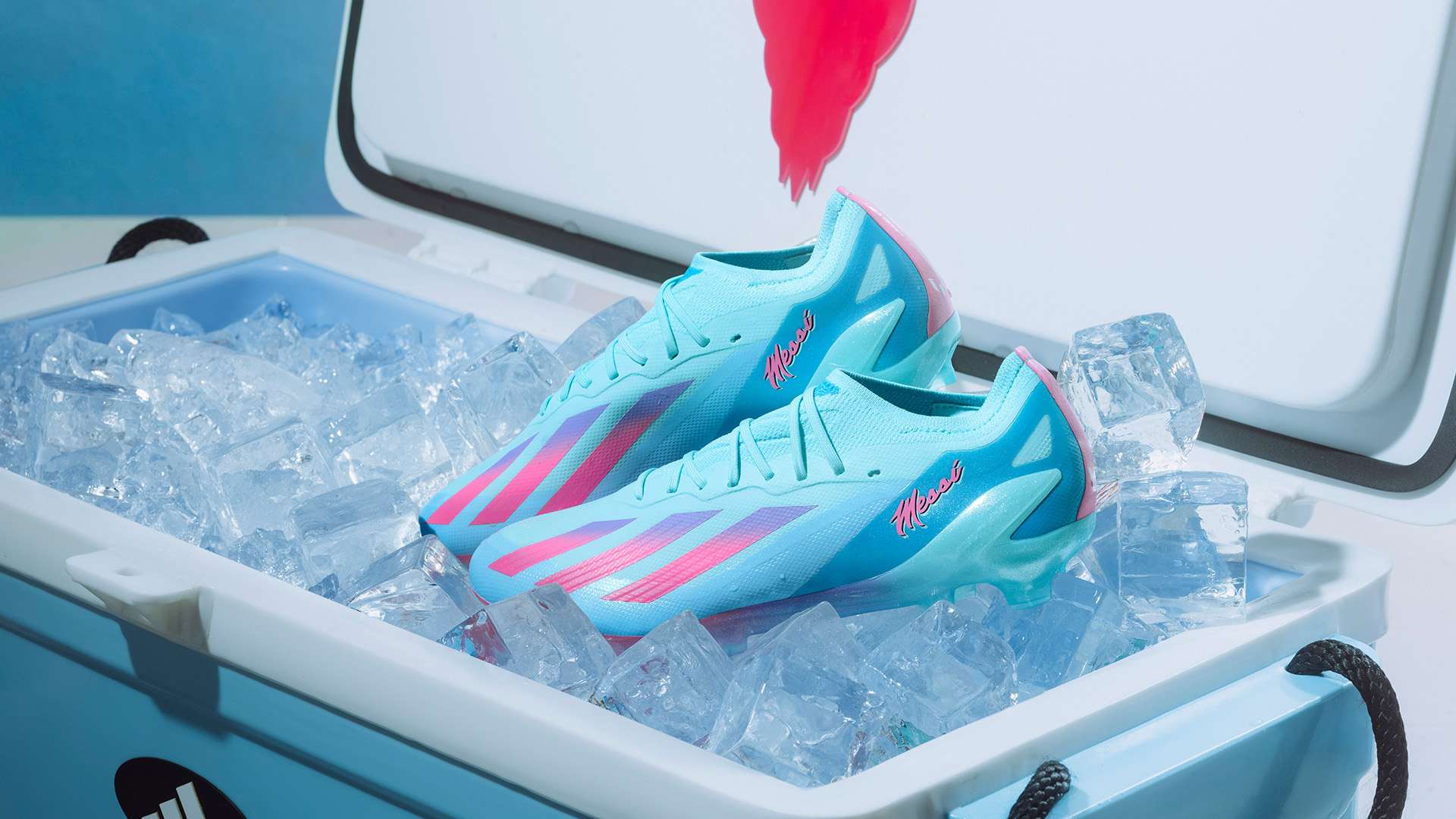 成下一站 成下一站